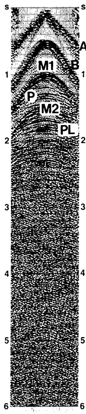 images\ebx_103502695.gif