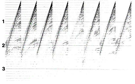 images\ebx_1281145381.gif